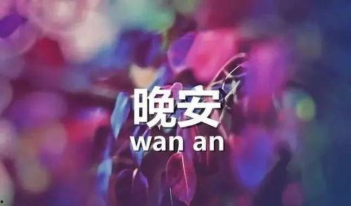 最新晚安爆料,揭秘娱乐圈最新热点事件